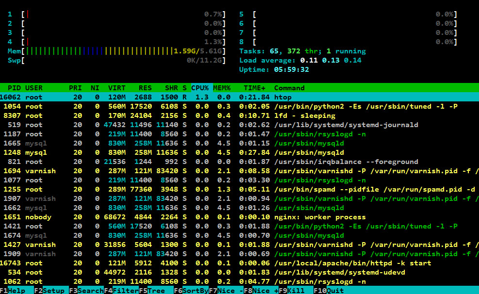 htop running n terminal 2020