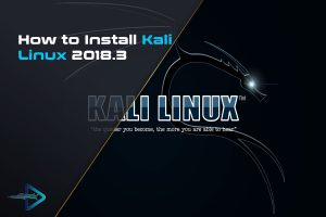 How to Install Kali Linux 2018.3 (Linux for Beginners!)