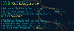 Change the Zsh Themes