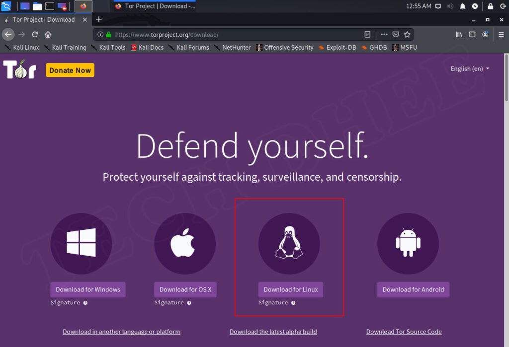 how to install tor browser kali linux with terminal