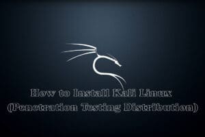 How to Install Kali Linux 2020.1 (Penetration Testing Distribution)