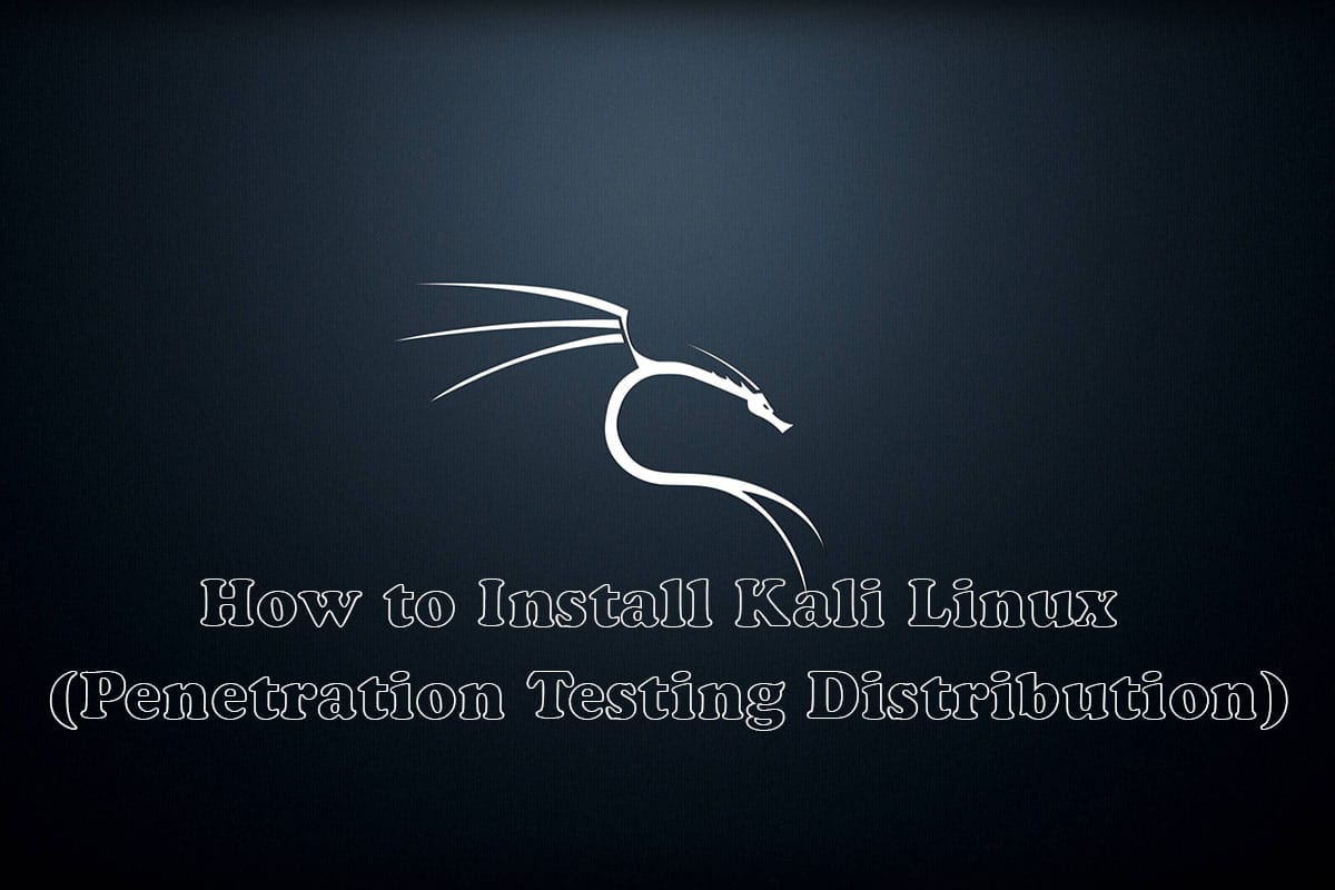 How to Install Kali Linux 2020.1 (Penetration Testing Distribution)