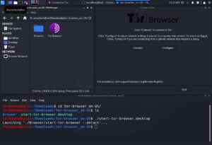 how to install tor in kali linux