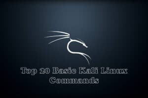 Top 20 Basic Kali Linux Commands