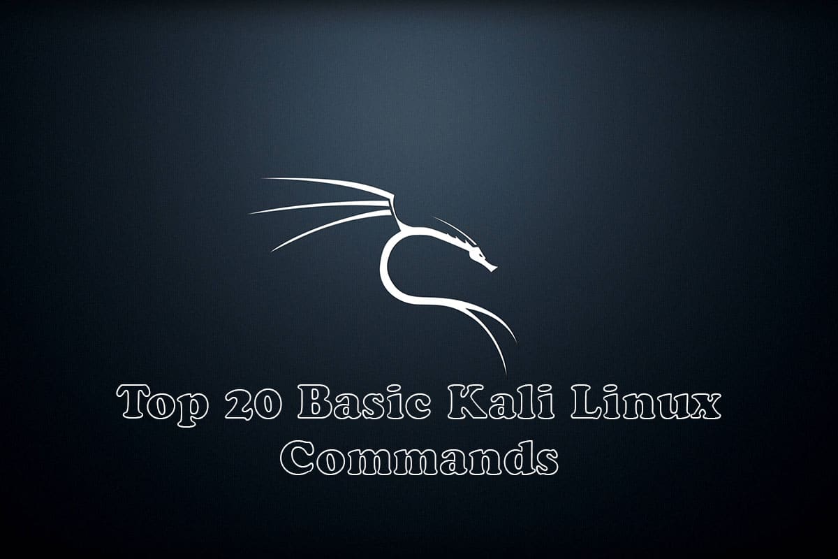 Top 20 Basic Kali Linux Commands | Kali Linux 2023.1