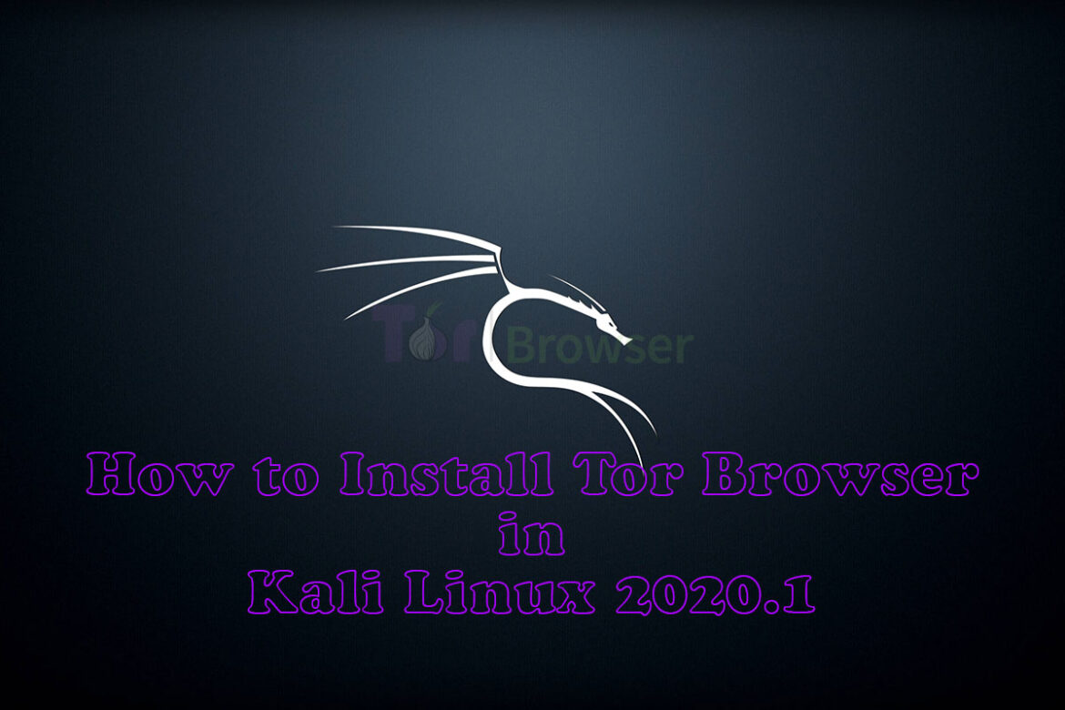 how to install tor browser kali linux with terminal