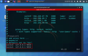 How To Use Proxychains in Kali Linux Using Tor Network