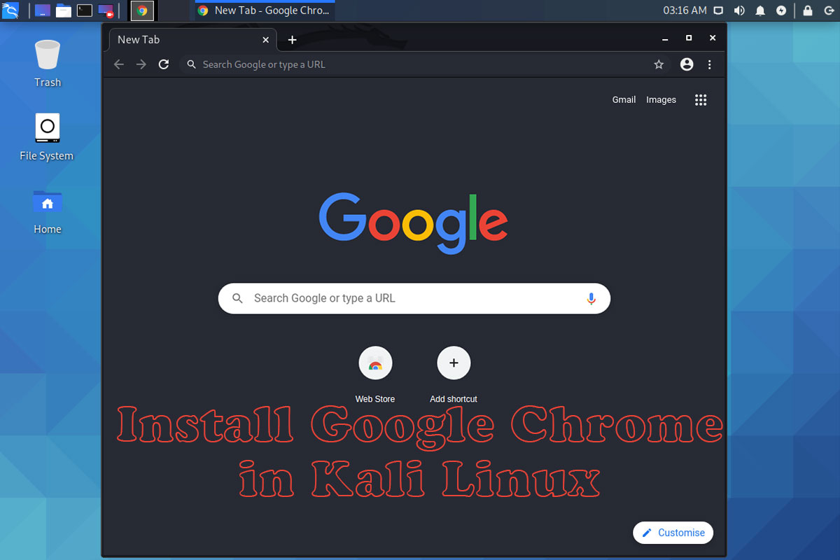 How to Install Google Chrome in Kali Linux