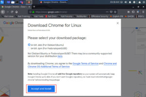 Select the Google Chrome Package for Kali Linux