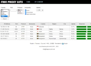 Free Proxy Server